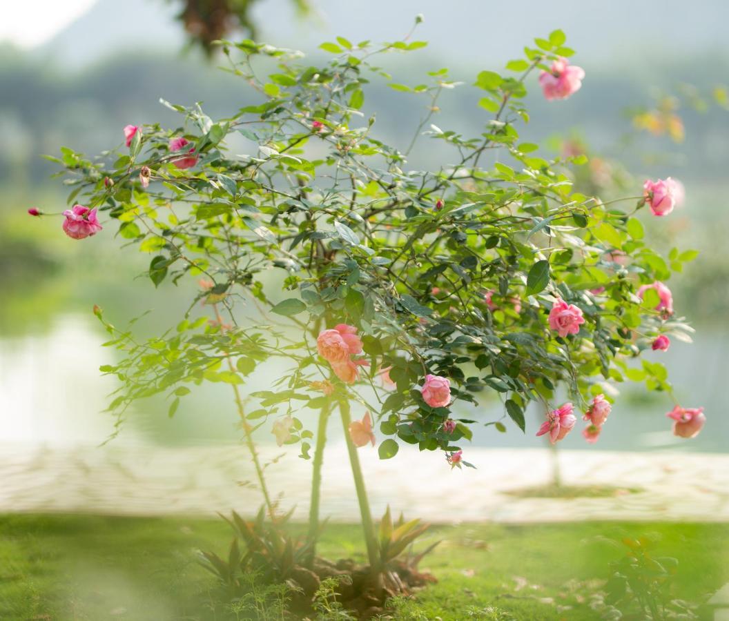 Serena Riverside Homestay - Trang An Ниньбинь Экстерьер фото